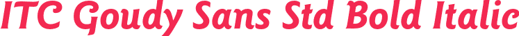 ITC Goudy Sans Std Bold Italic